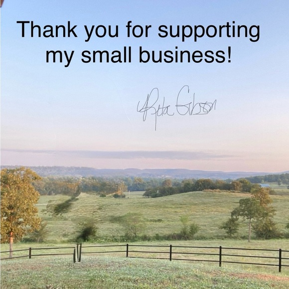 Brighton Silver Crystal Stud Earrings - Picture 5 of 5